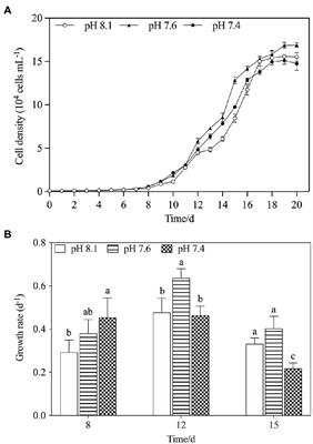 Nutrient Alteration Drives the Impacts of Seawater Acidification on the Bloom-Forming Dinoflagellate Karenia mikimotoi